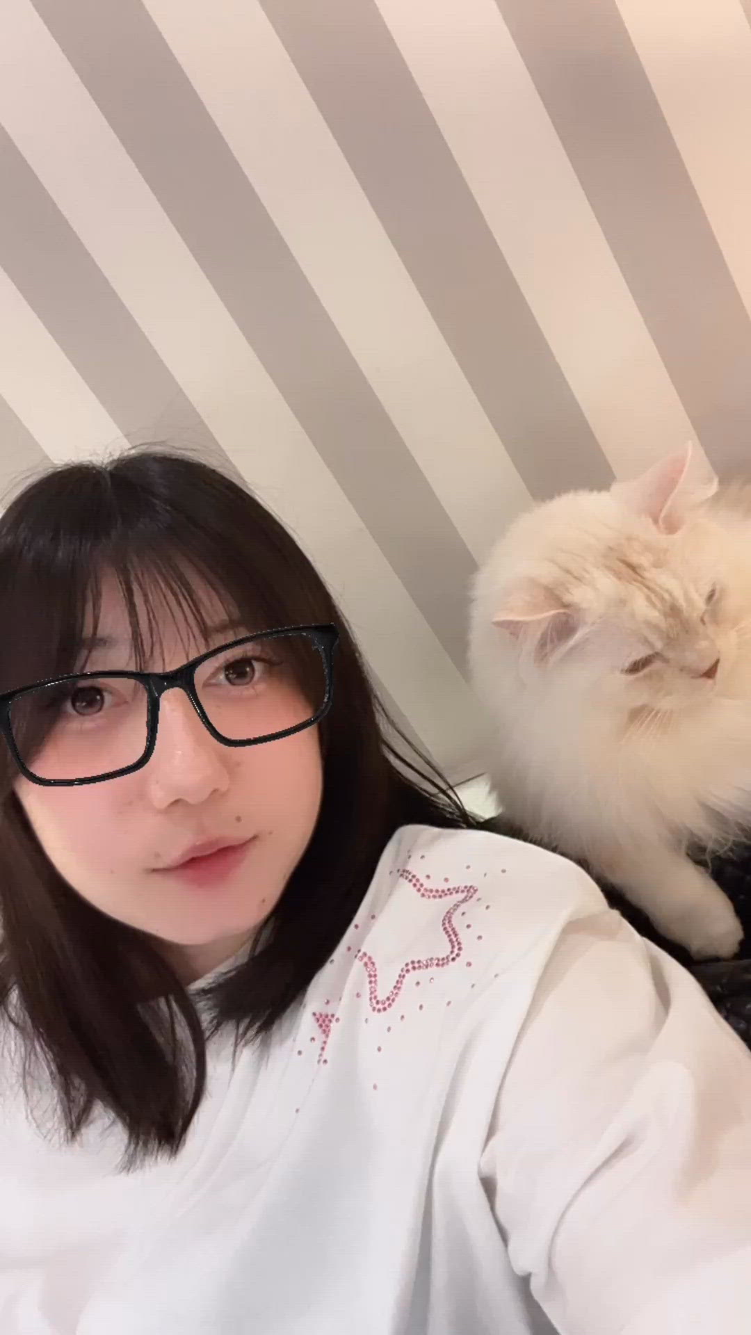 お休みです‍