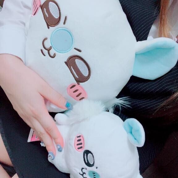 今日はお休み、あした会えるやさん