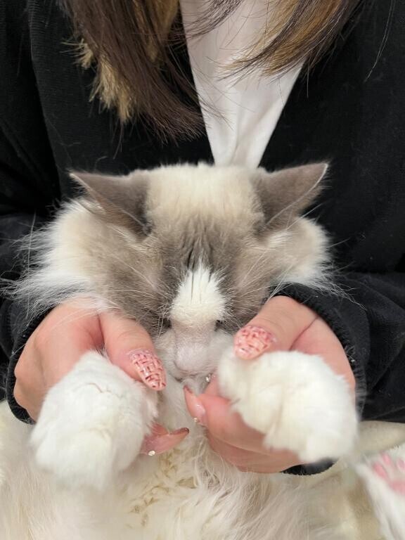 ごめんね(Ｔ_Ｔ)