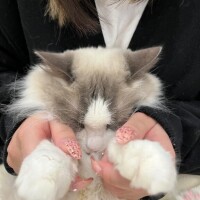 ごめんね(Ｔ_Ｔ)