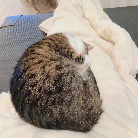😻💓