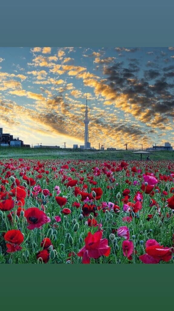今日も出勤⸜🌷︎⸝‍