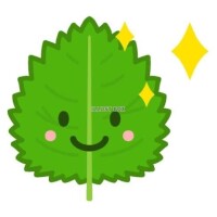 れいな奥様