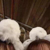 [お題]from:めっちゃ怖かったさん