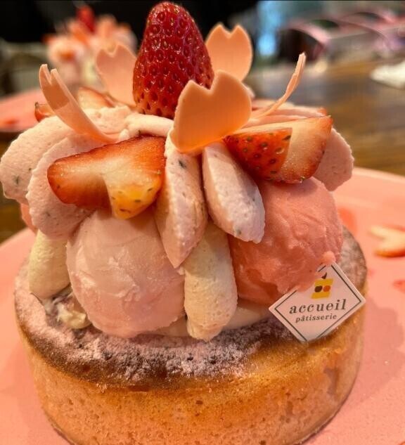 次は今月末です🫶