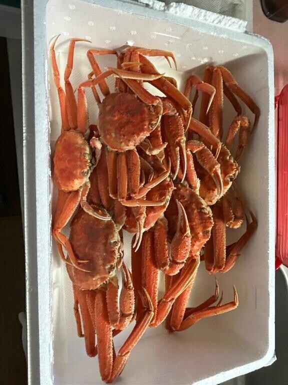 ご褒美