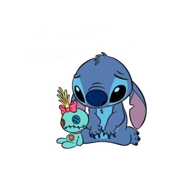 すみません｡°(???????)°｡