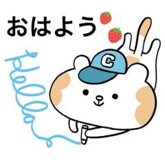 おはようございます??