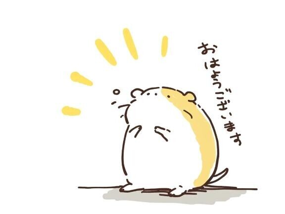 おはようございます??