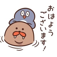 おはようございます??