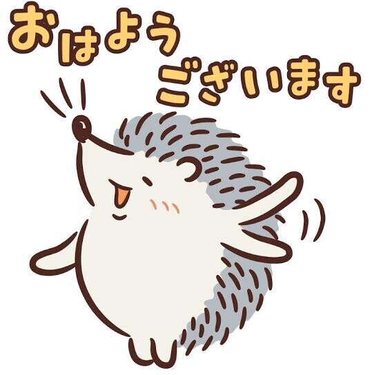 おはようございます??