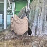 マイ◆SP・即可◆