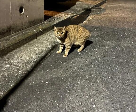 にゃ