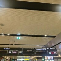 電車動きません。