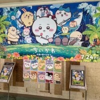 観て来たょ！