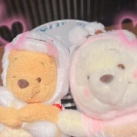 🌸出勤🌸