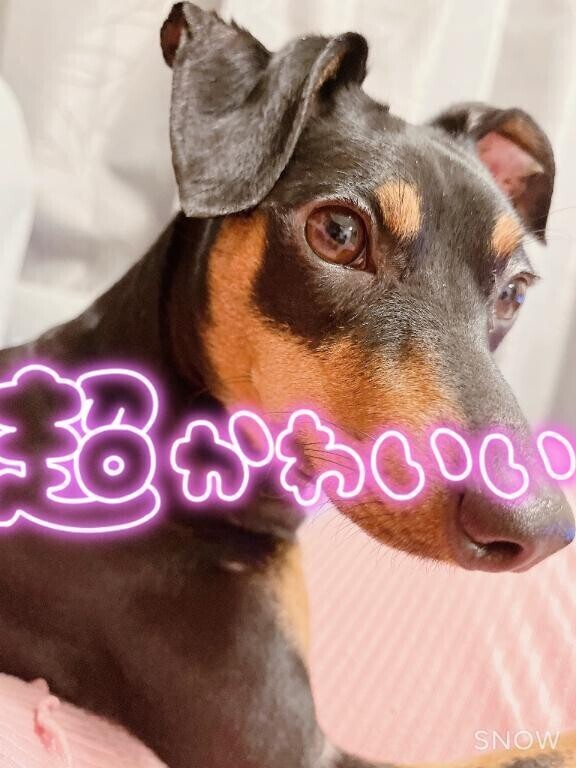 おはよん