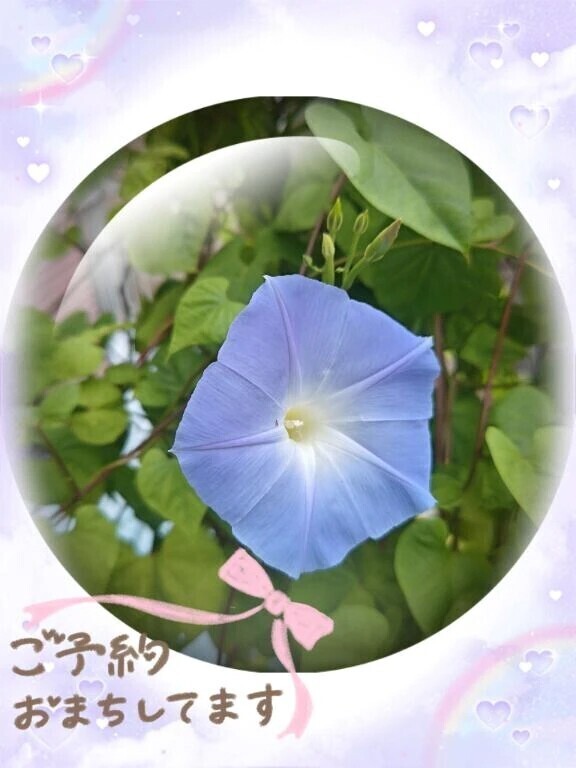 向かってますε＝(((((ﾉ･ω･)ﾉ