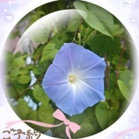 向かってますε＝(((((ﾉ･ω･)ﾉ