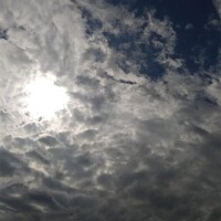 レンカ◆SP可◆