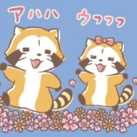 ✨💖昨日も１日☆*:.｡. o(≧▽≦)o .｡.:*☆💖✨