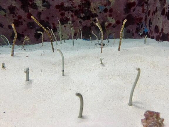 ハッピーハロウィン！