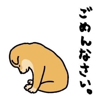 ごめんなさい🙇‍♀️