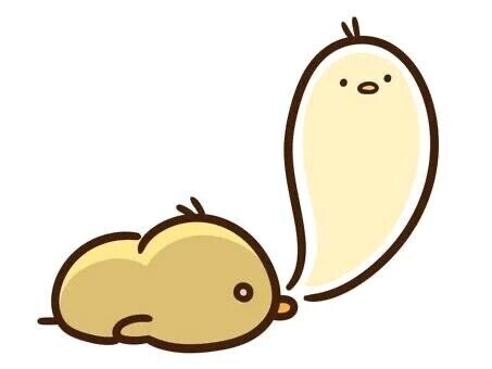 本日のご予約様へ