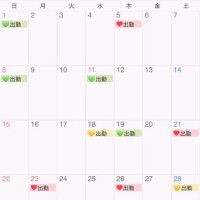 セリカ◆SP可◆