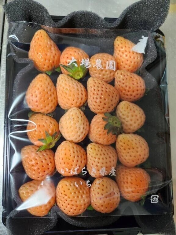 ありがとうございます。