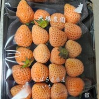 ありがとうございます。