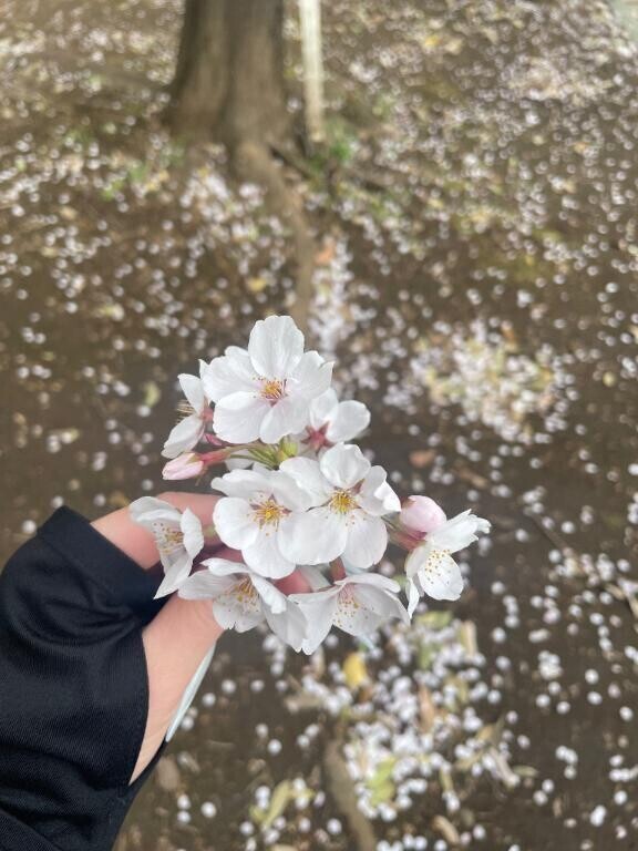 ?きゅるりん