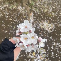 ?きゅるりん