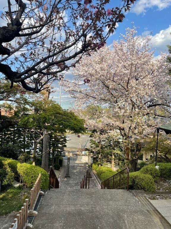 きてねボタンおしたよーっ♪