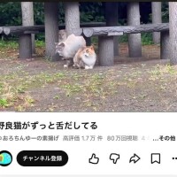 ウユ