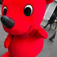 おはようございます