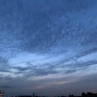 出勤日のお知らせ?