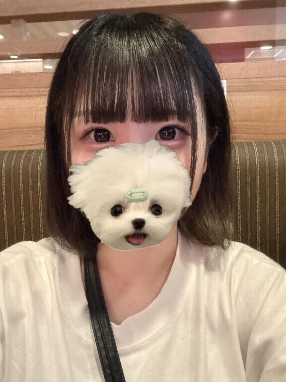 おはよー?