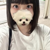 ノノ