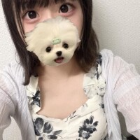 ノノ