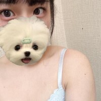 ノノ