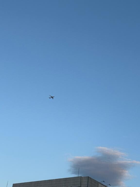 ?ぴえん超えてぱおんだから！?