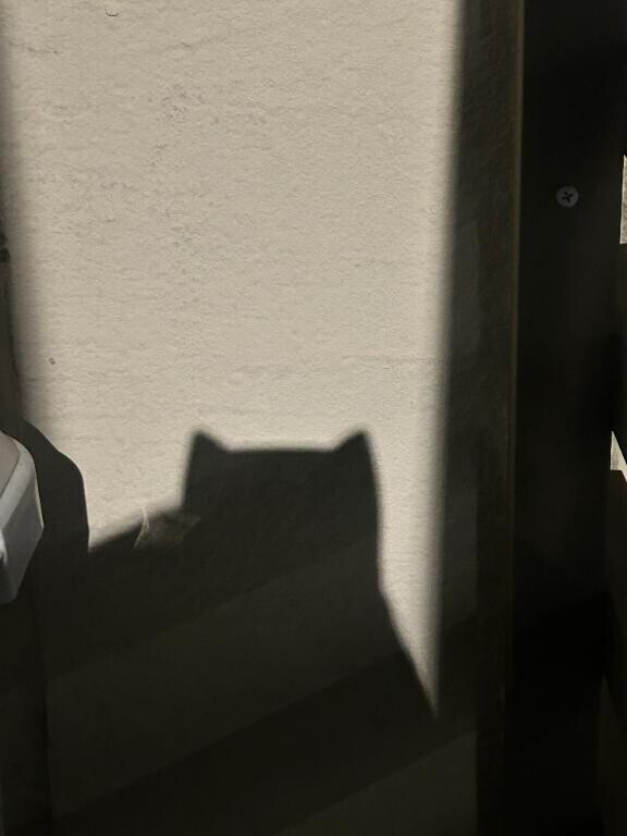 10/20 オーラス??