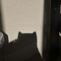 10/20 オーラス??