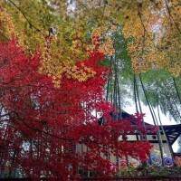 明日出勤です( ????  )?