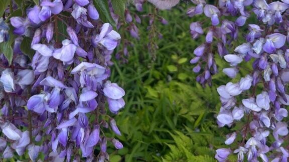 4/30急遽！今月ラスト