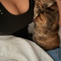 チヒロ
