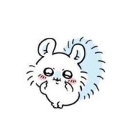 今日も