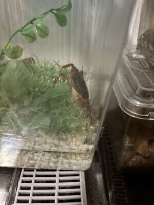 おはよう🐹💗