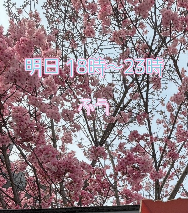 day off:明日18時から*\(^o^)/*💖🌸